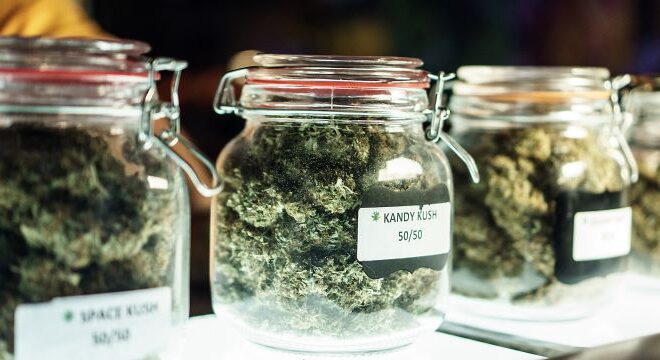 The Role of Packaging in Ensuring Cannabis Freshness and Quality