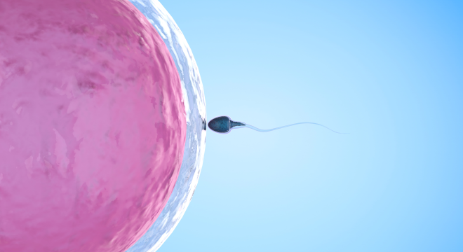 How Nutrition and Lifestyle Choices Affect Men’s Fertility: Insights and Tips