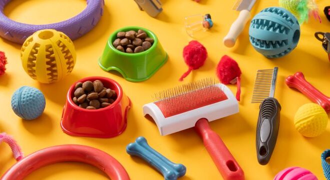 Innovative Pet Accessories to Enhance Your Furry Friend’s Lifestyle