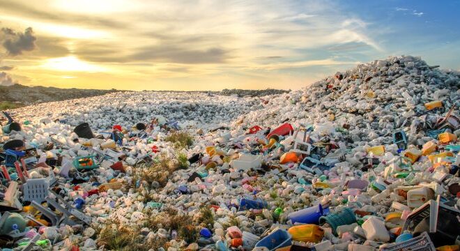 The Benefits and Process of Biodisintegration for a Sustainable Future