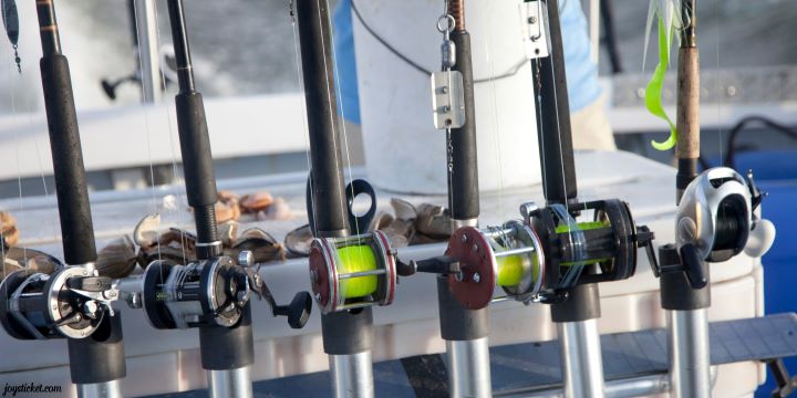 Joy's Ticket Beyond the Basics: Unleash Your Inner Angler with a Guided Fishing Charter