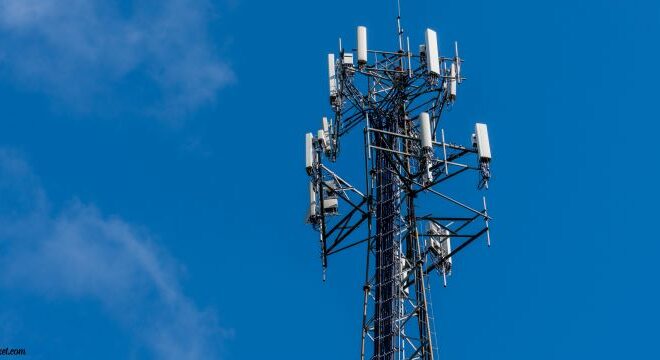 Joy's Ticket How Free Phone Services Contribute to Bridging the Digital Divide