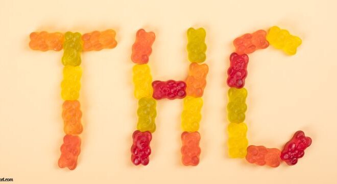 A Deep Dive into Delta 9 THC Edibles: Edible Trends, Benefits, and Responsible Use