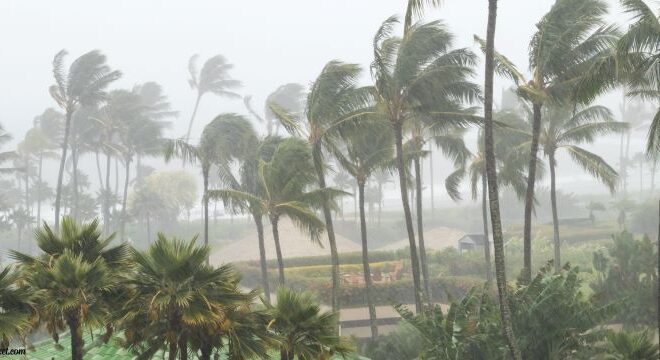 How to Prepare Your Home for Hurricane Season