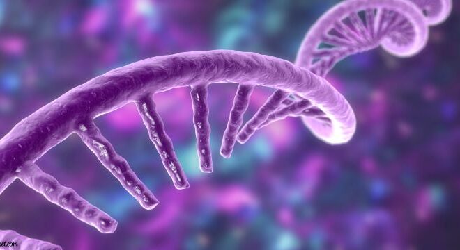 The Science Behind mRNA Synthesis: From Lab to Life-Changing Therapies