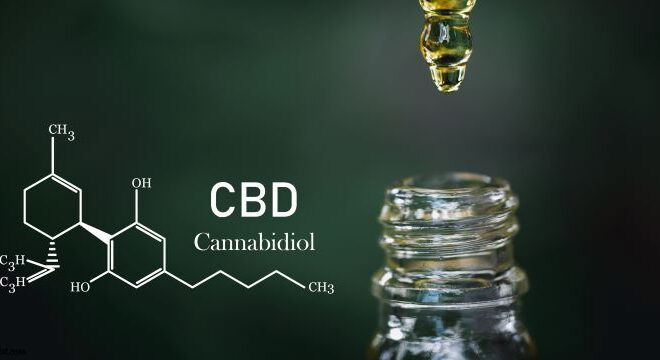 Promoting Daily Balance with CBD: Exploring Potential Benefits for Overall Well-being