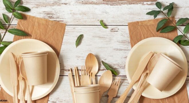 The Benefits of Disposable Dinnerware for Parties and Family Gatherings