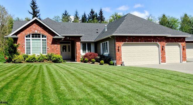 The Comprehensive Guide to Crafting the Perfect Lawn