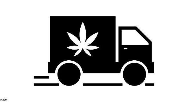 Quality Delivered: Ensuring Freshness and Potency When Choosing Weed Delivery Services