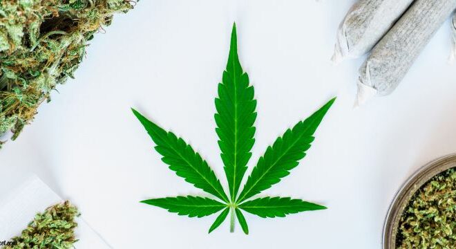 Why Weed Delivery Is the Future of Cannabis Consumption