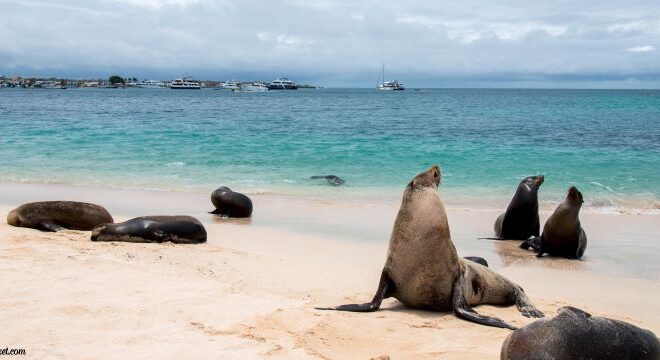 Joy's Ticket Discover the Wonders of Island Hopping Tours: Your Guide to Adventure