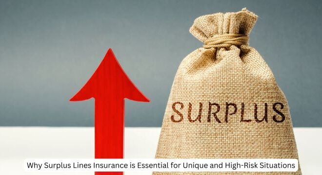 Why Surplus Lines Insurance is Essential for Unique and High-Risk Situations