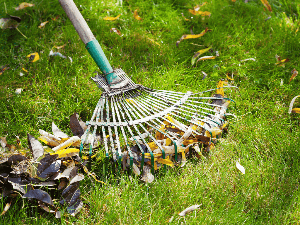 Joy's Ticket Spring Garden Overhaul? How a Skip Bin Saves You Time and Backache
