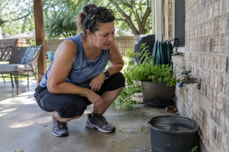 outdoor pests
