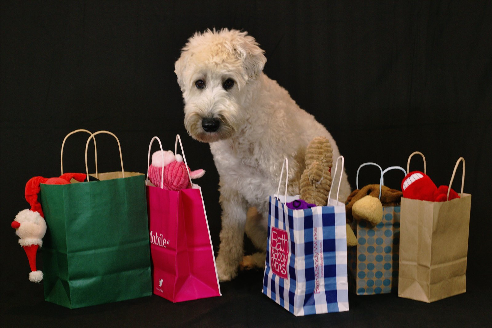 A dog sitting among holiday shopping bags filled with gifts